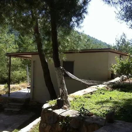 In Tranquility Σπίτι διακοπών Kocaalagolkoy